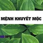 Mệnh Khuyết Mộc