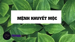 Mệnh Khuyết Mộc